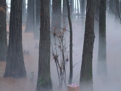 -东湖落雁景区