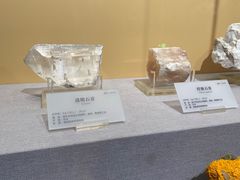 -湖南省地质博物馆