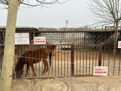 -河北村民俗体验园