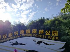-西双版纳原始森林公园