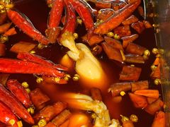 美蛙鸳鸯锅-重庆高老九火锅(文峰广场店)