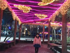 -锦江乐园舞狸花花游园会(夜场专享)