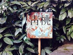 青桃餐厅(双峰村店)-青桃餐厅