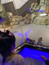 -未来动物城动物主题公园(大悦城店)