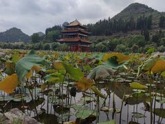 -安龙招堤