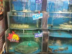 -粥全粥到海鲜家常菜(瞿塘峡路店)