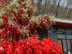 -九鼎铁刹山风景区