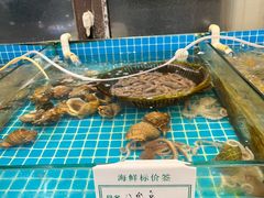 -渡海小渔村.老辈日照菜