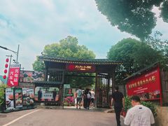-湘力力小院·鱼汤泡饭(枫林路店)