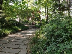 -成都市活水公园