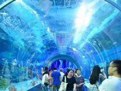-临沂极地海洋王国