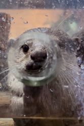 -Zoolung Zoolung动物主题公园(海信广场店)