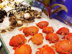 -美食汇·海鲜自助餐·家庭聚会·商务宴请(青秀万达文华店)