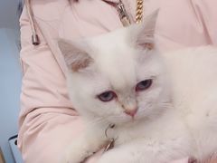 -小小班私人影院·猫咖(万达茂广场店)