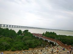 -宝安西湾红树林湿地公园