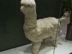 -肃宁华斯国际裘皮城