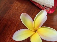 -亚龙湾希尔顿自助餐厅·海鲜·烧烤·沙滩BBQ·现场乐队