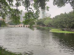 -荔湾湖公园