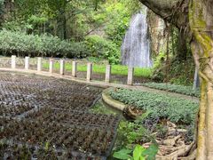 -西樵山风景名胜区-天湖公园