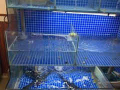 水产区-红烧鱼头·杭帮菜·特色烧烤