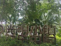 -光明小镇欢乐田园