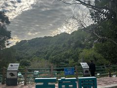 -广东惠东海龟国家级自然保护区