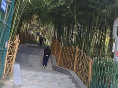 -西安市长乐公园