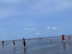 -南汇嘴观海公园