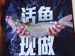 -老板恋上鱼(恒隆广场店)