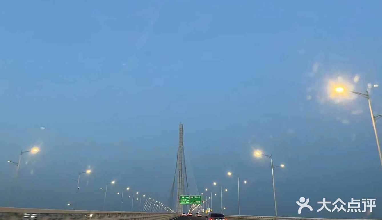 悠闲步伐，林中漫游