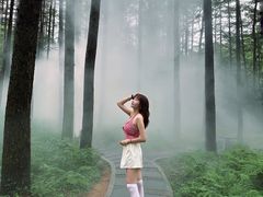 -洛阳白云山景区