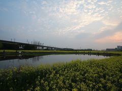 -临平南高铁站(地铁站)