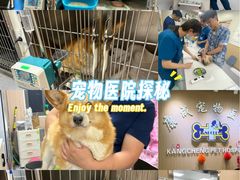 -康成宠物医院24H·CT·核磁共振