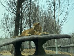 -北京野生动物园