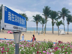 -玫瑰海岸文化旅游度假区