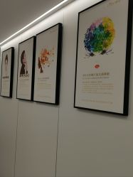 -熙朵美学植发·连锁品牌