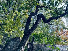 -宝岩生态观光园