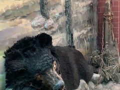 -北京动物园-畅观楼