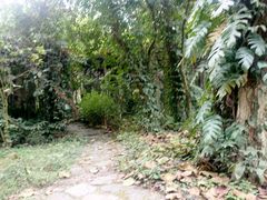 -广西壮族自治区药用植物园