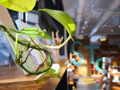 店内环境-时间行者书店(新安店)