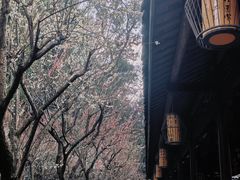 -成都杜甫草堂博物馆