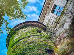 -北京张裕爱斐堡酒庄