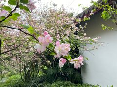 -棠湖公园