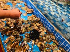 -蓝钻·国际美食海鲜自助百汇(西直门店)