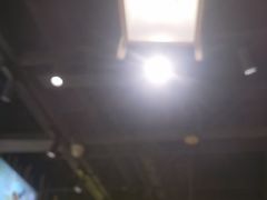 -林溪晚亭脆皮烤鱼(藁城店)