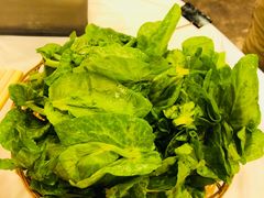 豆苗-鲜入围煮花胶鸡海鲜火锅