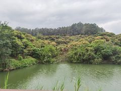 -梧桐山风景名胜区