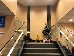 -麦当劳(天兴罗斯福店)