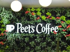 -Peet's Coffee皮爷咖啡(德基店)