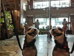 -尚合里潮汕牛肉火锅(海沧店)